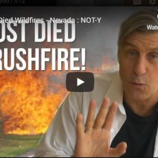 Almost Died Wildfires – Nevada : NOT-Y